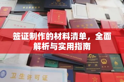 埔里签证制作的材料清单，全面解析与实用指南