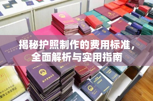 埔里揭秘护照制作的费用标准，全面解析与实用指南