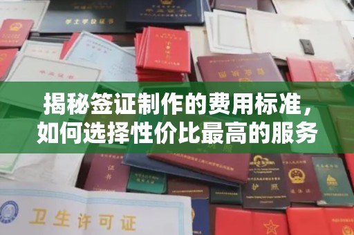 埔里揭秘签证制作的费用标准，如何选择性价比最高的服务？