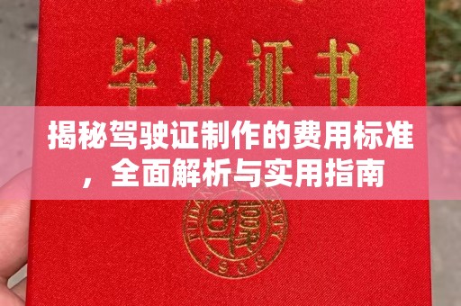 埔里揭秘驾驶证制作的费用标准，全面解析与实用指南
