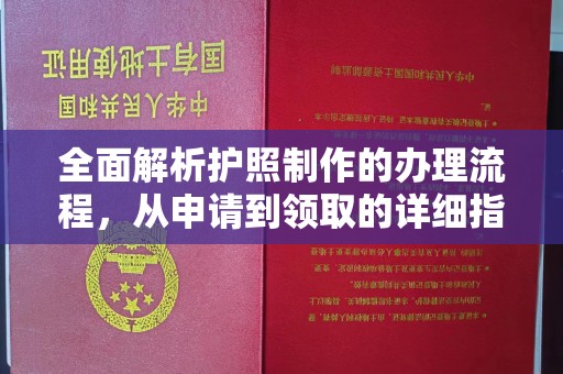 埔里全面解析护照制作的办理流程，从申请到领取的详细指南