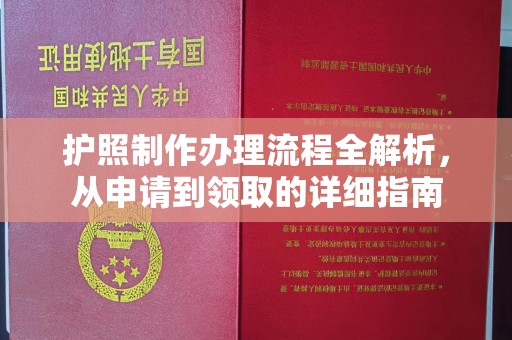 埔里护照制作办理流程全解析，从申请到领取的详细指南